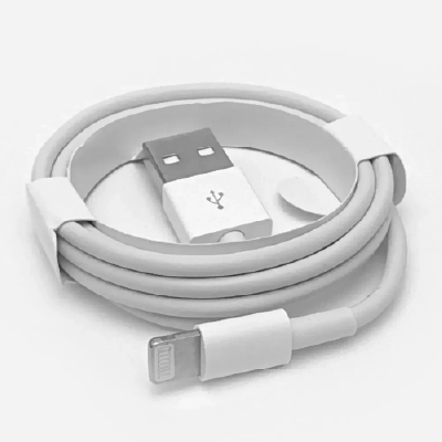 Apple MD819AM/A OEM Lightning to USB Cable (2.0 m) for iPhone